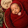 baby, basket, closeup, cozy, cute, decor, flowers, greenery, head_covering, indoor, infant, newborn, peaceful, portrait, red_blanket, sleeping, soft_texture, warm_colors, wooden_sign, wrapped