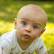 Nolan is registered to the contest to win money with this photo: baby, child, infant, blue_eyes, crawling, grass, outdoor, nature, sunlight, greenery, cute, expression, portrait, young, toddler, curious, closeup, skin, head, clothing