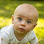 baby, child, infant, blue_eyes, crawling, grass, outdoor, nature, sunlight, greenery, cute, expression, portrait, young, toddler, curious, closeup, skin, head, clothing