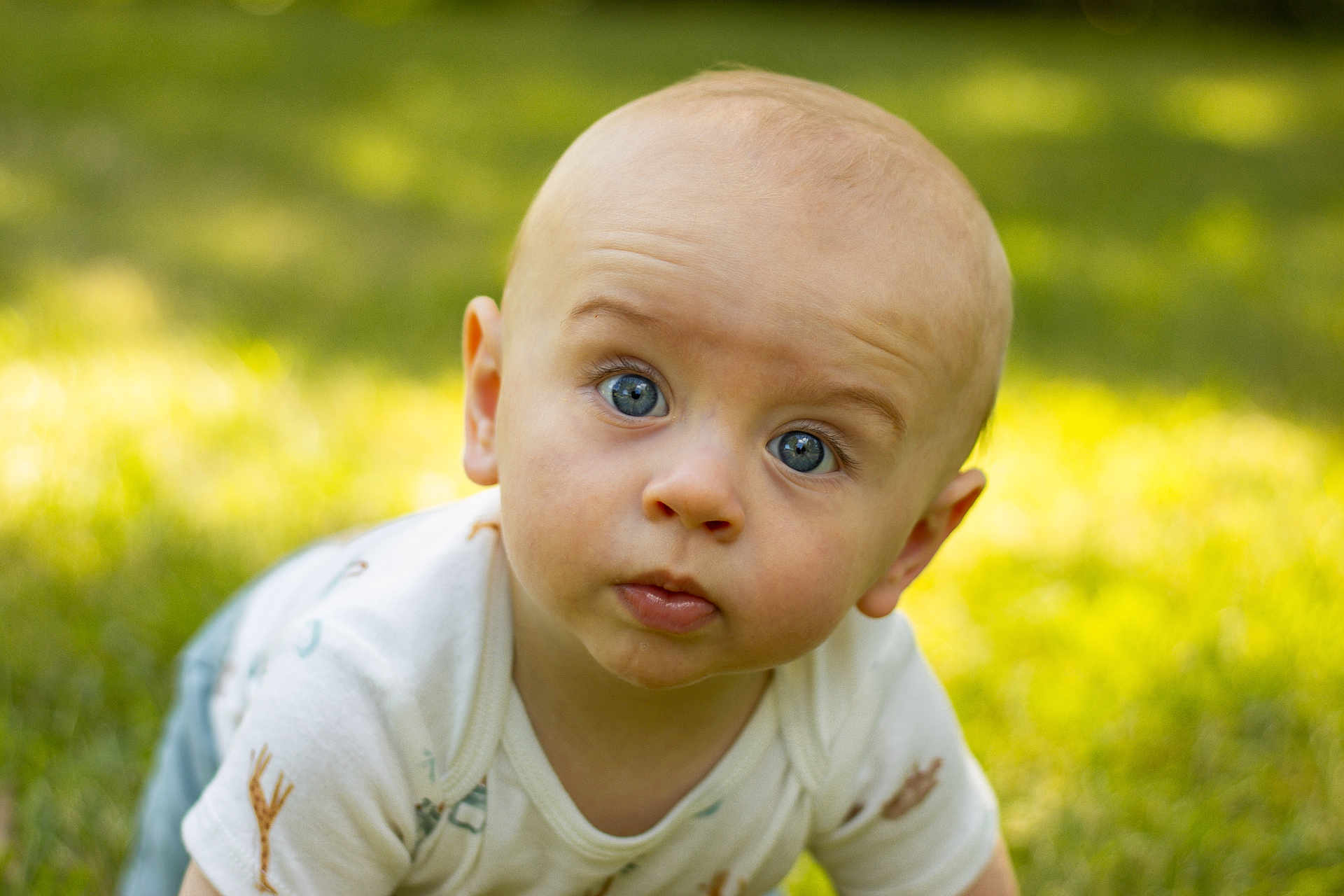 Nolan is registered to the contest to win money with this photo: baby, child, infant, blue_eyes, crawling, grass, outdoor, nature, sunlight, greenery, cute, expression, portrait, young, toddler, curious, closeup, skin, head, clothing