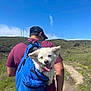 dog, white_dog, backpack, person, hiker, trail, outdoors, sky, blue_sky, grass, hill, cap, tongue_out, smiling, pet, nature, path, sunny, happy, landscape