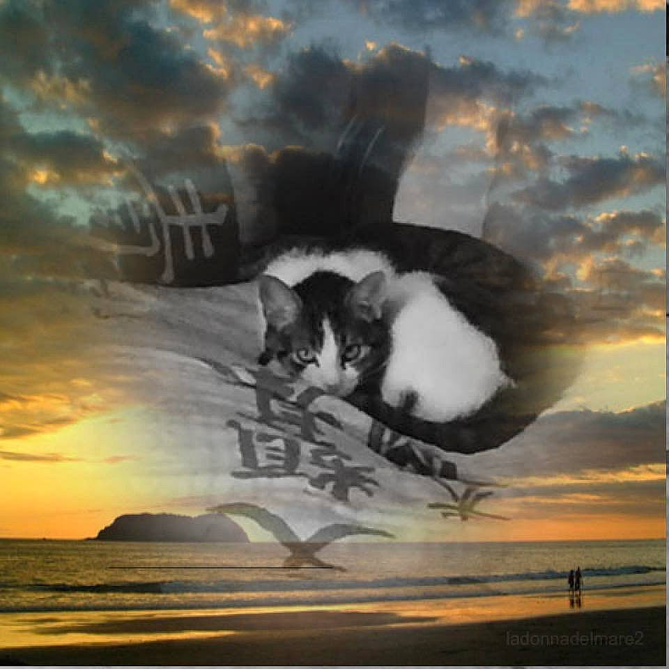 Guipsy a rejoint le concours — aidez-le/la à gagner de superbes lots ! art, calm, cat, cloud, cumulus, felidae, horizon, landscape, morning, natural_landscape, nature, paint, painting, sky, small_to_medium_sized_cats, tail, visual_arts, water, wind, wind_wave