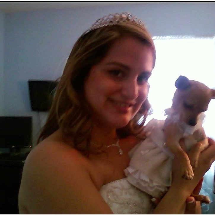 Gucci joined the competition — help win amazing prizes! woman, bride, wedding, dog, small_dog, tiara, dress, white_dress, indoor, smile, holding, pet, cute, person, people, window, light, celebration, happy, portrait