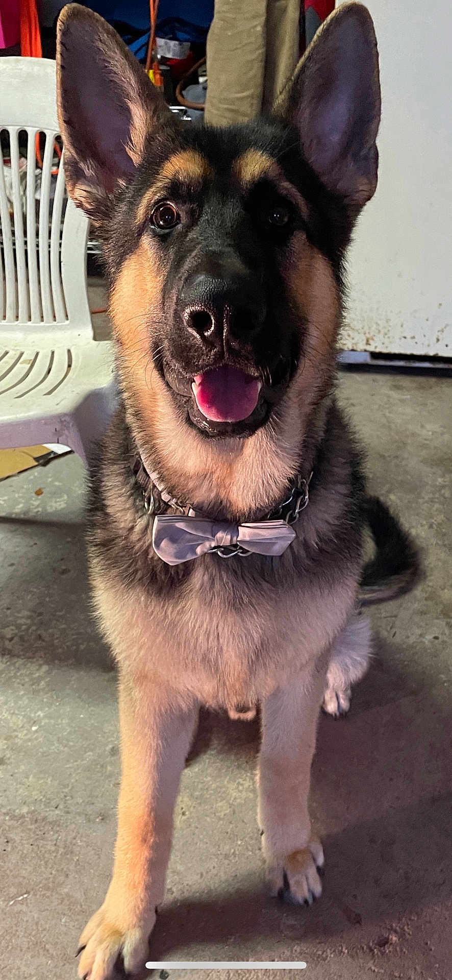 Bruno