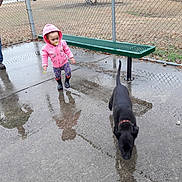 Ariyannah is registered to the contest to win money with this photo: dog, dog_breed_group, dog_like_mammal, dog_walking, fun, play, snout, snow, vacation, vertebrate, winter