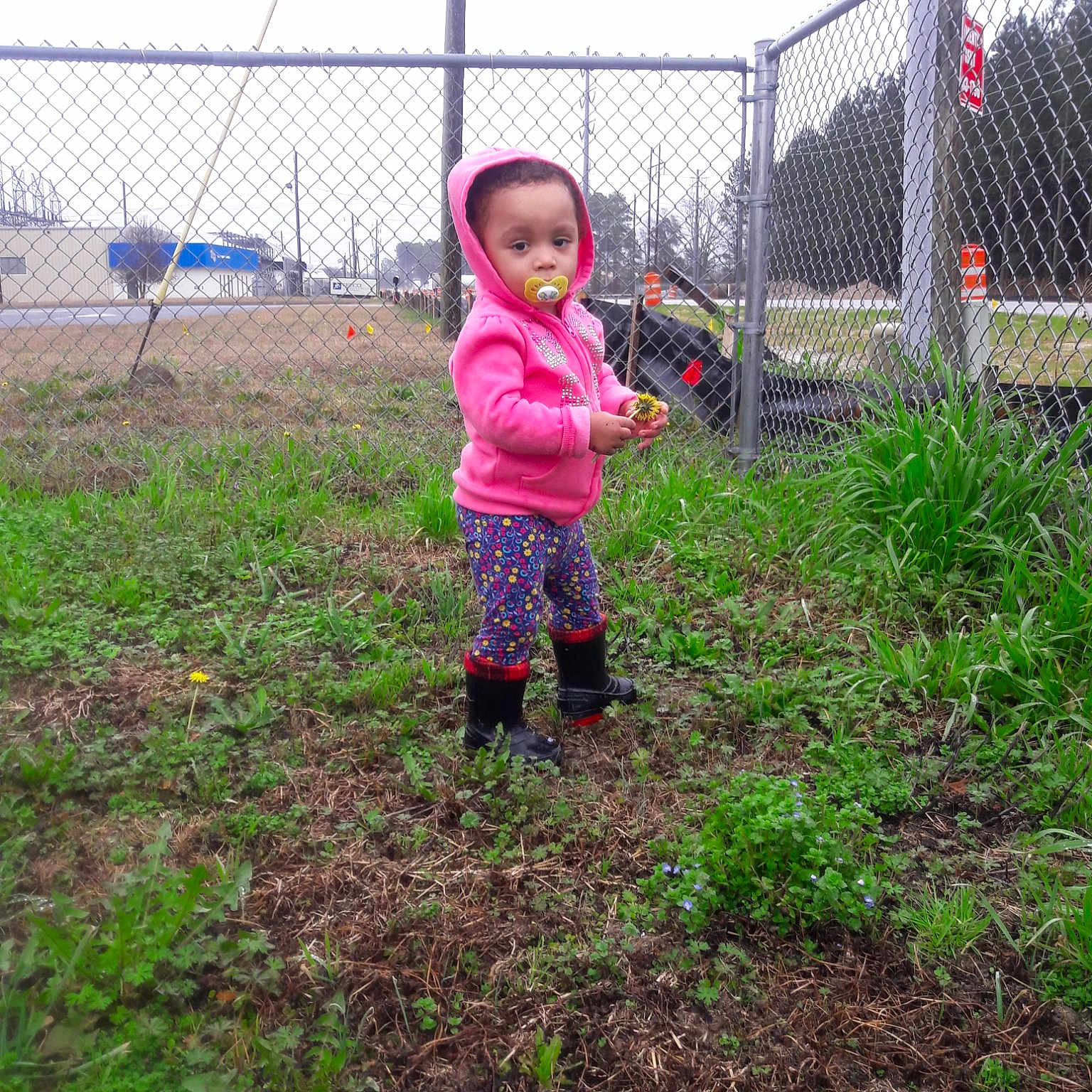 Ariyannah