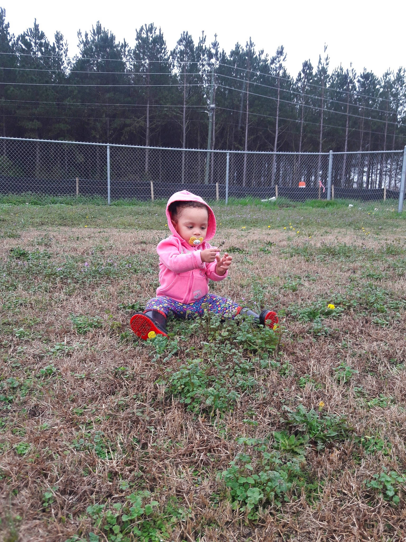 Ariyannah is registered to the contest to win money with this photo: backyard, child, day, farm, field, fun, garden, grass, lawn, pasture, person, plant, play, playground, public_space, shrub, soil, toddler, tree, vertebrate