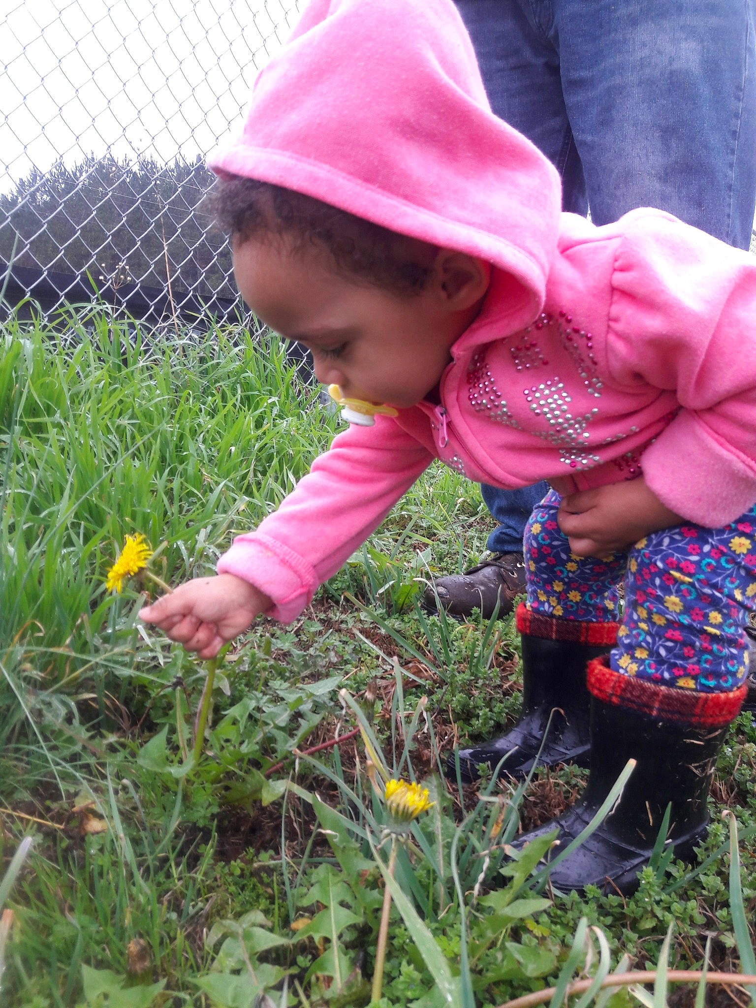 Ariyannah is registered to the contest to win money with this photo: child, flora, flower, flowering_plant, fun, garden, grass, grass_family, lawn, leaf, meadow, person, pink, plant, play, shrub, soil, spring, toddler, tree