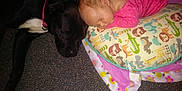 Jamilah Ryatt joined the competition — help win amazing prizes! bedtime, carnivoran, child, day, dog, dog_breed, dog_like_mammal, fun, mammal, nap, pink, play, product, puppy, skin, sleep, sporting_group, textile, toddler, vertebrate