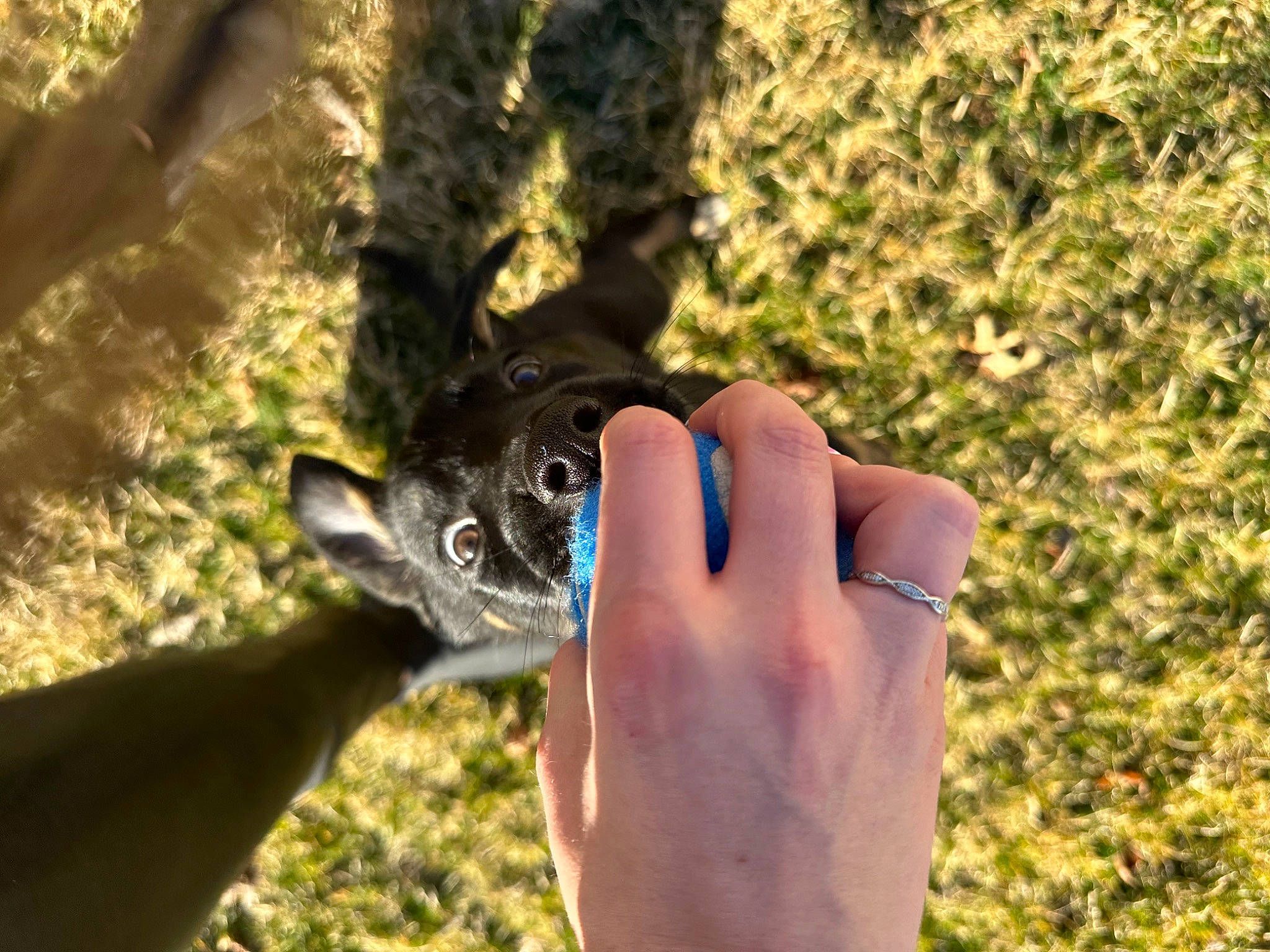 Kodak is registered to the contest to win money with this photo: adventure, dog_breed, electric_blue, eyewear, finger, grass, human_leg, lemur, mammal, nail, people_in_nature, plant, recreation, soil, sunglasses, thumb, vertebrate, wildlife, wildlife_biologist, wrist