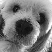 Bowbo joined the competition — help win amazing prizes!