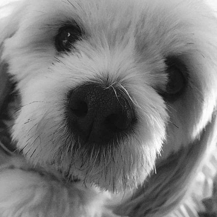 Bowbo joined the competition — help win amazing prizes!