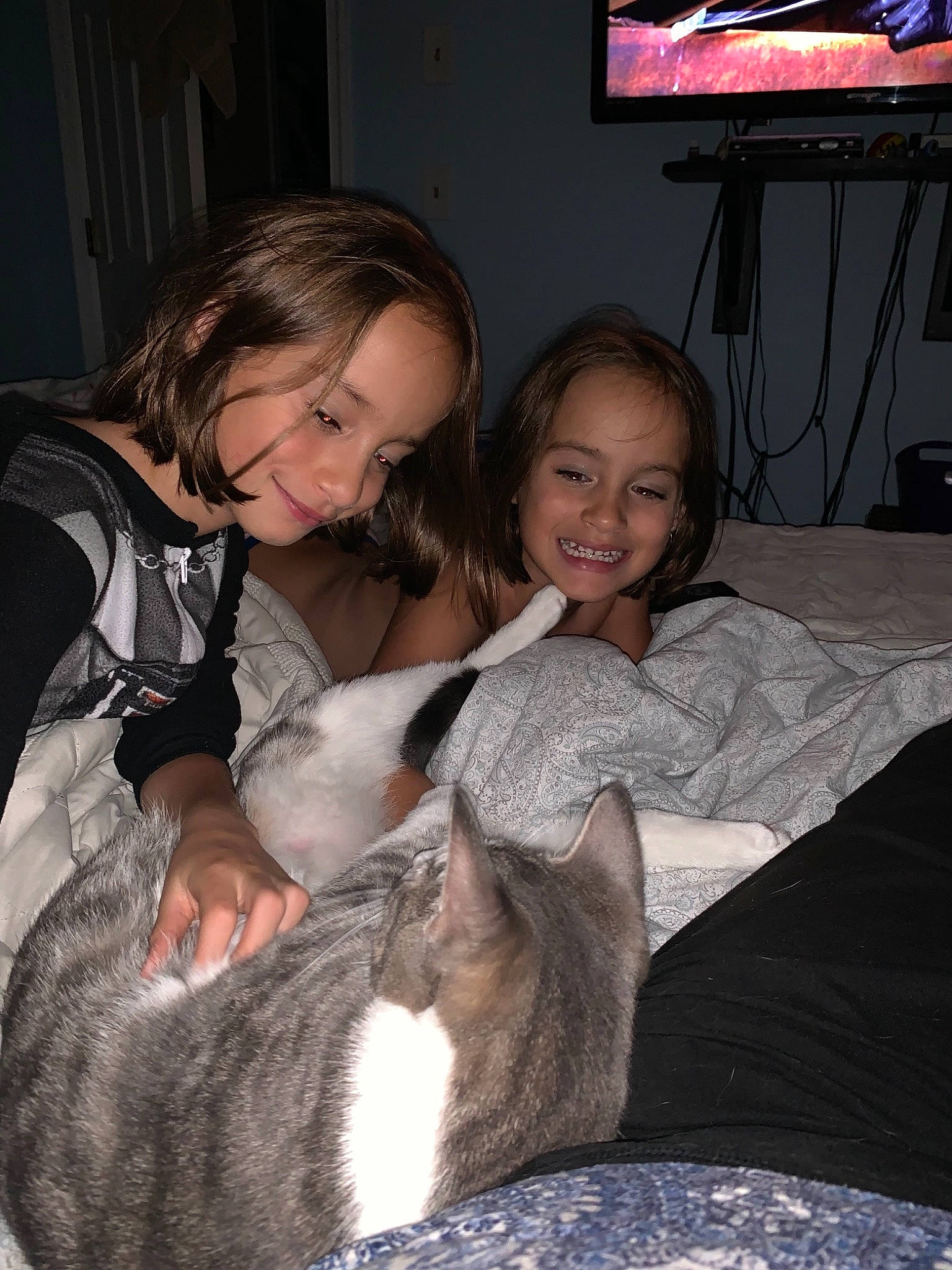 Noodles joined the competition — help win amazing prizes!