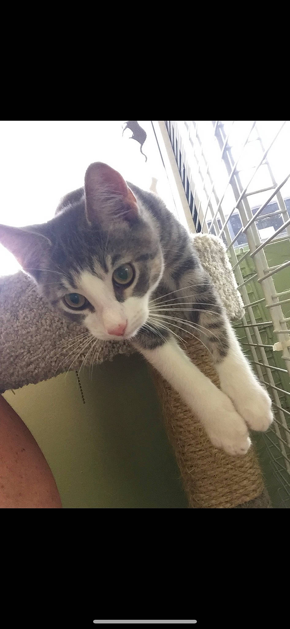 Noodles joined the competition — help win amazing prizes!