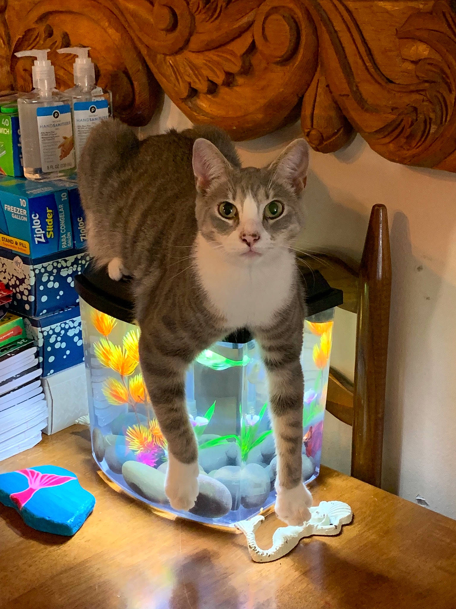 Lavender is registered to the contest to win money with this photo: