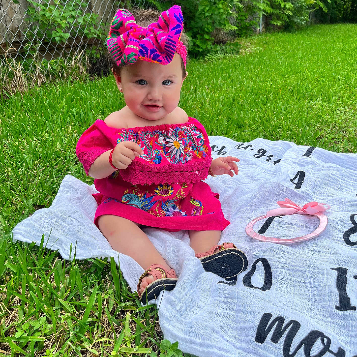 Alejandra is registered to the contest to win money with this photo: baby, blanket, child, colorful_clothing, cute, fence, footwear, grass, greenery, happy, headband, headwear, nature, outdoor, pink_dress, portrait, sitting, smile, summer, young_child