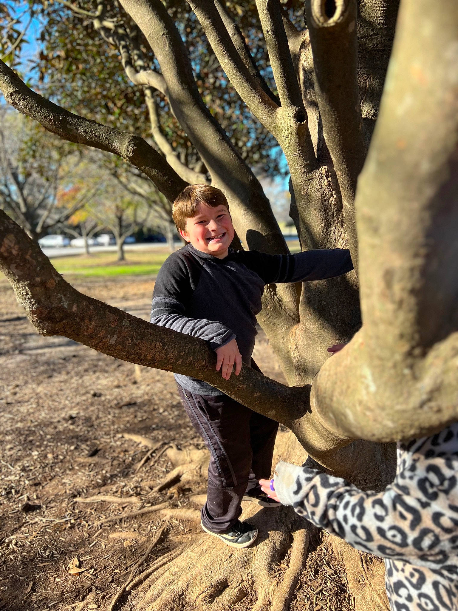 Maddox is registered to the contest to win money with this photo: botany, branch, fun, gesture, grass, hand, happy, human_body, jacket, joy, leaf, leisure, people_in_nature, person, plant, sneakers, sunlight, tints_and_shades, tree, trunk