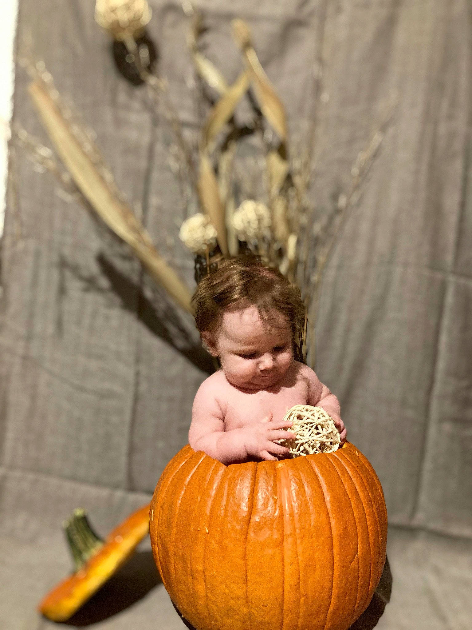 Karter joined the competition — help win amazing prizes! arm, calabaza, cucurbita, eye, face, fruit, gourd, hair, happy, head, human_body, jeans, natural_foods, person, plant, pumpkin, squash, toddler, vegetable, winter_squash