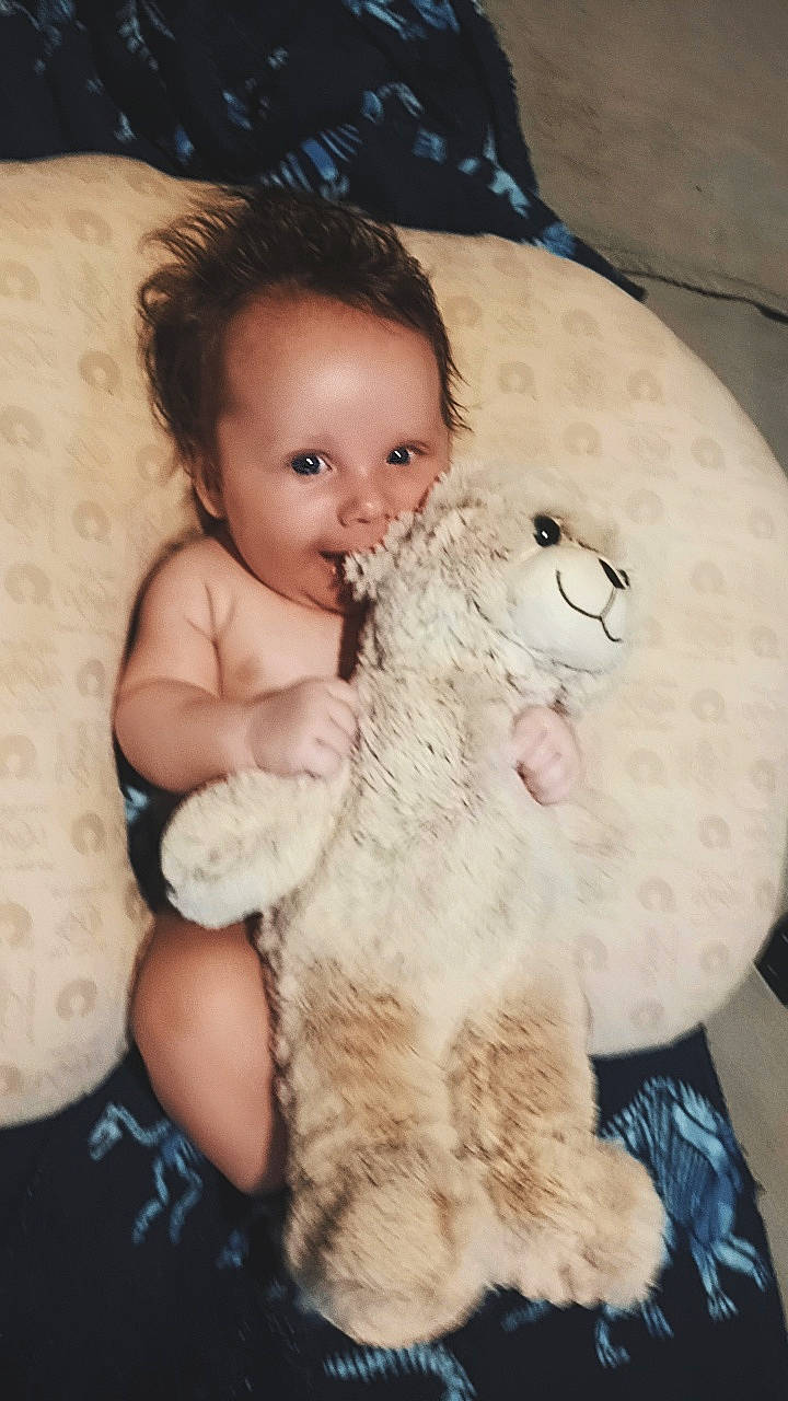 Karter joined the competition — help win amazing prizes! abdomen, baby, child, comfort, eye, fawn, felidae, fur, happy, human_body, mammal, nose, person, plush, small_to_medium_sized_cats, stuffed_toy, teddy_bear, toddler, toy, trunk