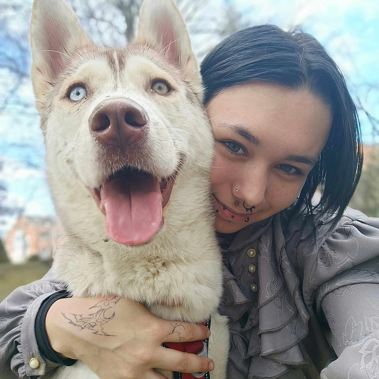 Saphir a rejoint le concours — aidez-le/la à gagner de superbes lots ! accessories, adult, animal, bodypart, canine, dog, face, female, finger, hand, head, husky, person, pet, photography, portrait, skin, strap, whitedog, woman