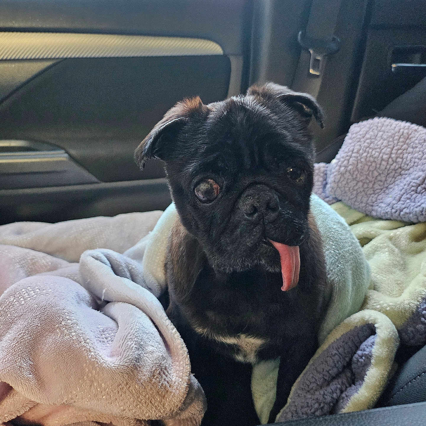 Kujo