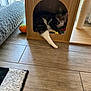 cat, cat_house, wooden_floor, scratching_post, rug, indoor, pet, relaxed, stretching, feline, cozy, home, toy, tabby_cat, white_paw, floor_tile, animal, domestic_cat, resting, looking