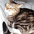 Elliot S.