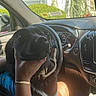 dog, black_dog, pet, puppy, animal, car, car_interior, driver_seat, steering_wheel, dashboard, passenger, hand, person, holding, portrait, outdoor, sunlight, house, window, cute