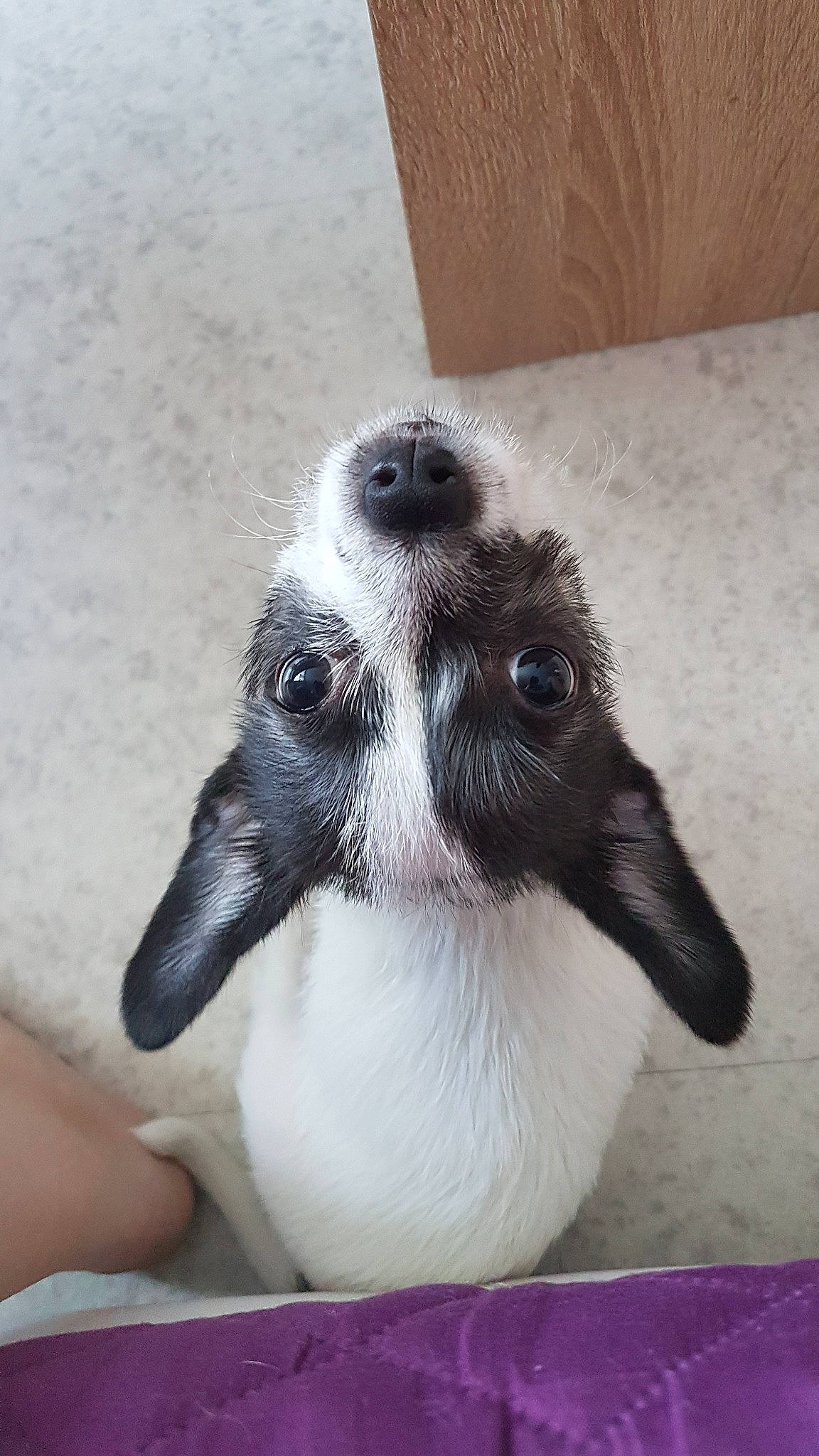 Ninie participe au concours pour gagner de l'argent avec cette photo : beak, bird, vertebrate