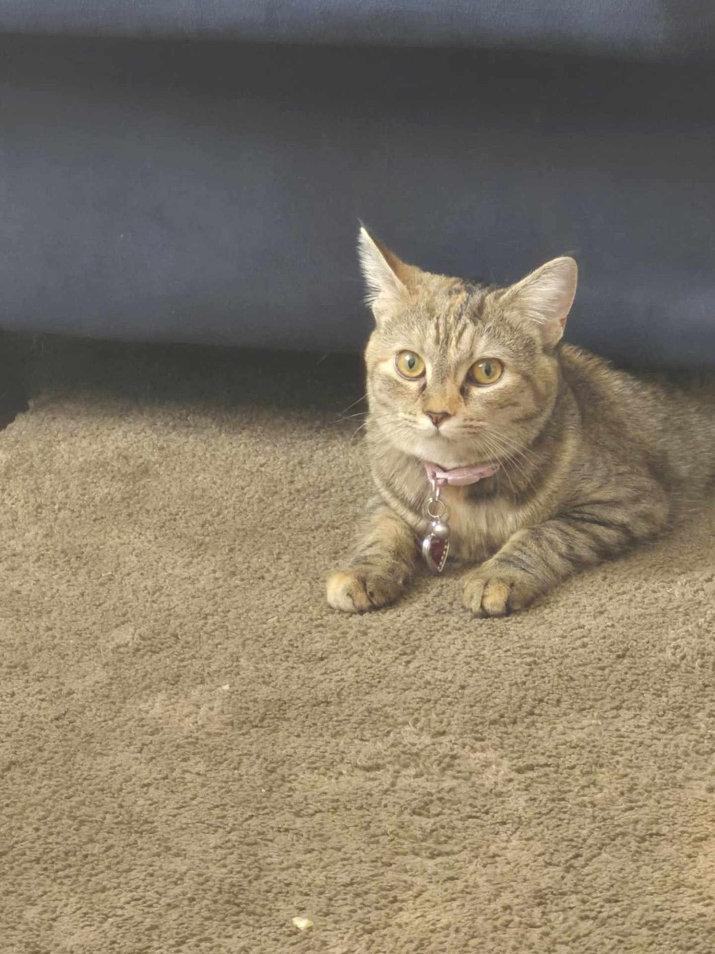 Nora