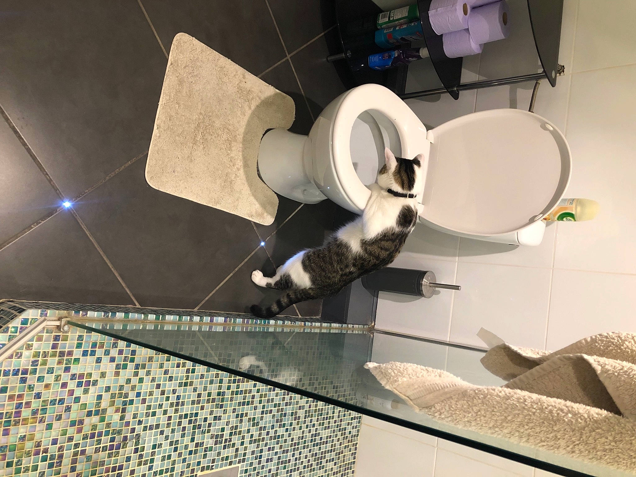 Goonie a rejoint le concours — aidez-le/la à gagner de superbes lots ! aerospace_engineering, art, ceiling, circle, engineering, eyewear, flooring, font, graphic_design, light, lighting, machine, paper, paper_product, rectangle, science, space, symmetry, urban_design, wood