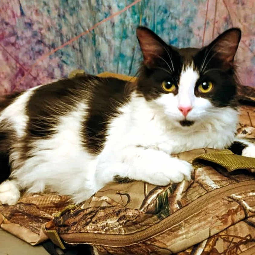 Prince Moo