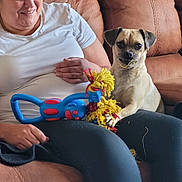 Bruno joined the competition — help win amazing prizes! black_pants, brown_furniture, casual, companion, couch, cute, dog, domestic, furniture, happy, indoor, leisure, pet, playful, relaxed, sitting, smile, toy, white_shirt, woman