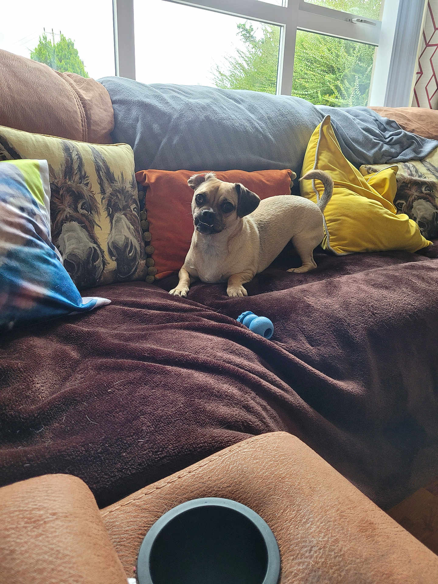 Bruno
