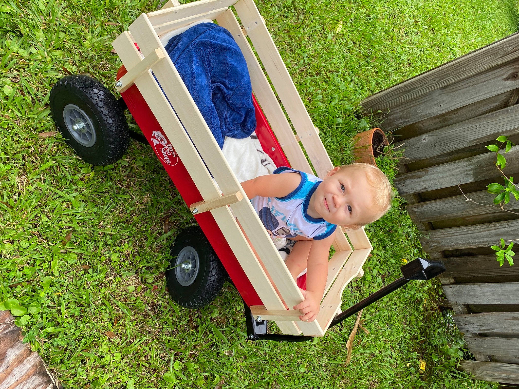Liam is registered to the contest to win money with this photo: baby, baby_carriage, baby_products, baby_toddler_clothing, child, hubcap, lap, lawn, people_in_nature, person, plastic, play, product, rolling, synthetic_rubber, tire, tire_care, toddler, tread, wheel