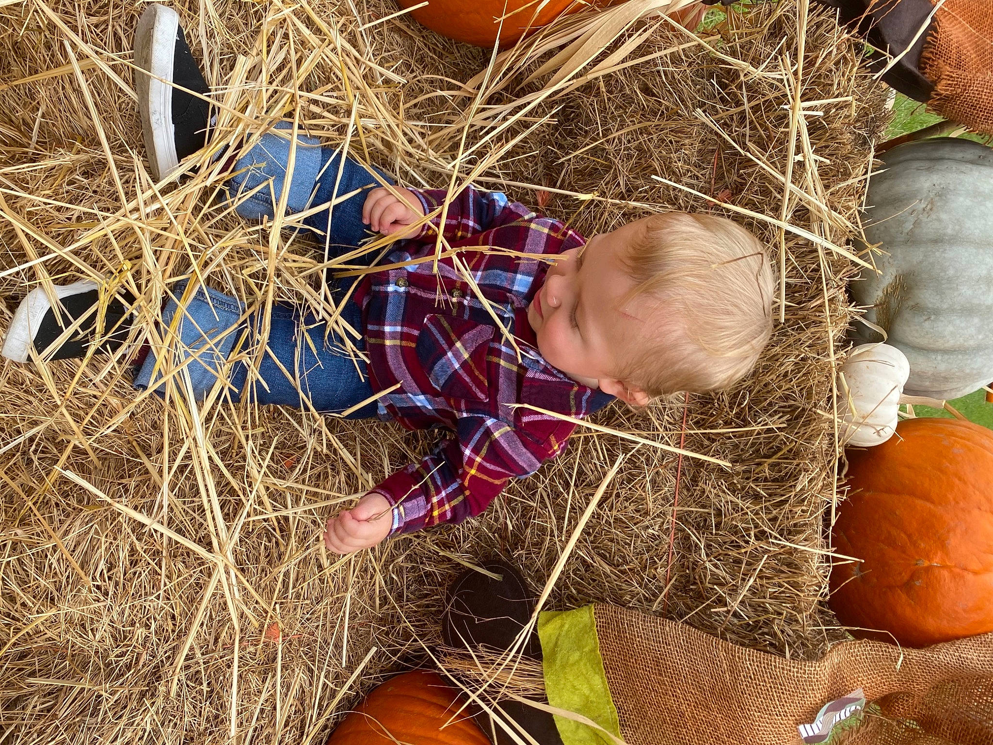 Liam is registered to the contest to win money with this photo: _and_melon_family, _gourd, agriculture, baby, baby_toddler_clothing, calabaza, cucumber, cucurbita, gourd, hay, human, orange, people_in_nature, person, play, produce, pumpkin, squash, straw, toddler