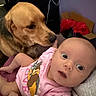 Murphy joined the competition — help win amazing prizes! baby, dog, pink_onesie, indoor, curious, wide_eyes, face, pet, animal, child, cute, nuzzle, sniff, person, portrait, warm, cozy, friendship, infant, candid