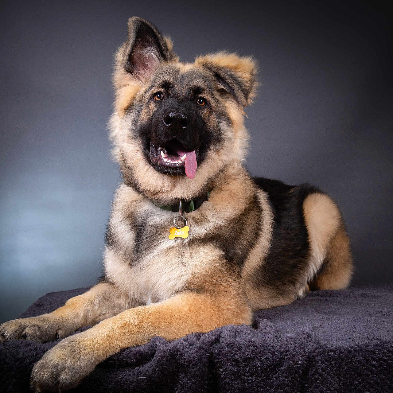 Zuko