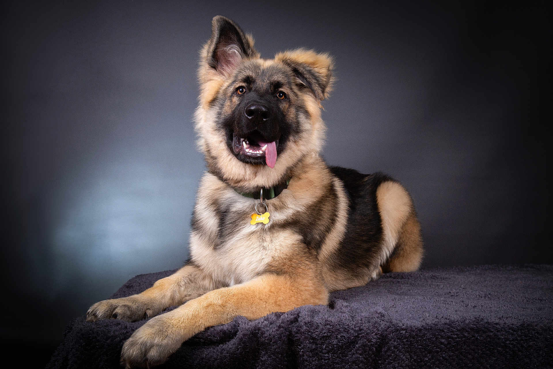 Zuko