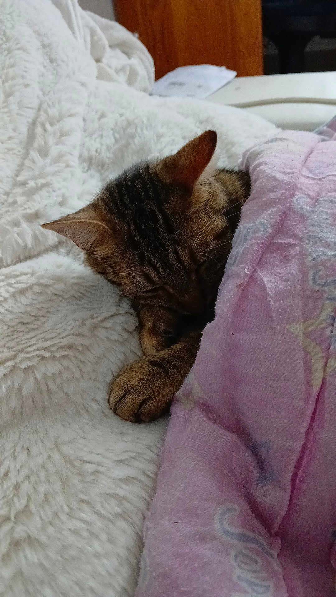 Kiara