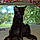 Salem