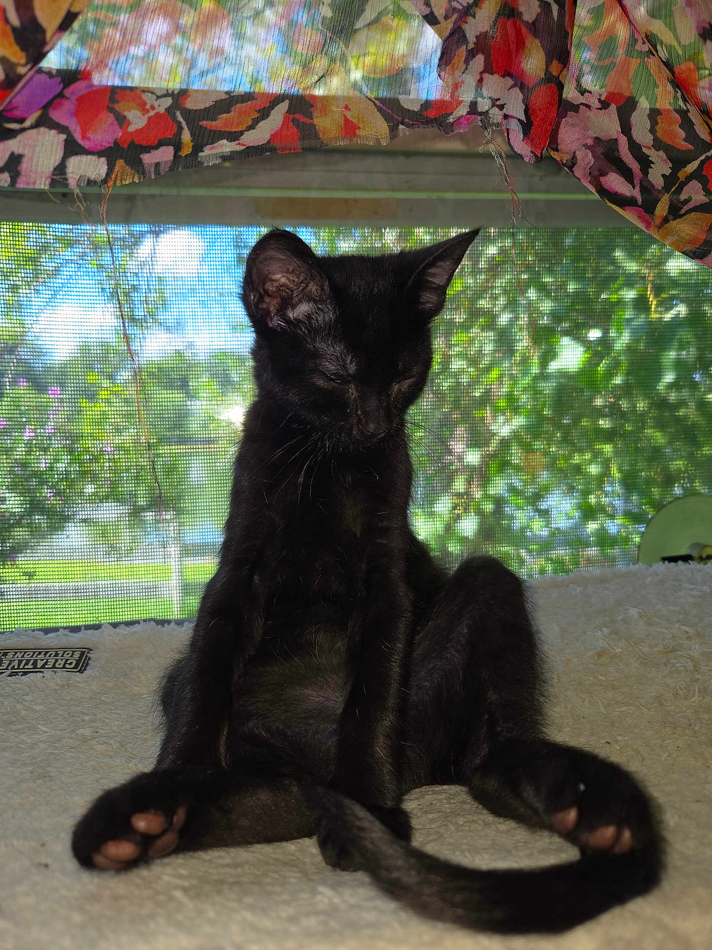 Salem