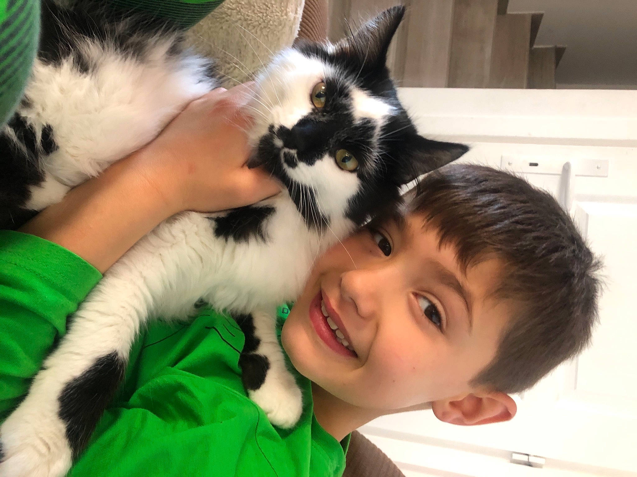 Mayron a rejoint le concours — aidez-le/la à gagner de superbes lots ! carnivore, cat, comfort, companion_dog, eye, felidae, fur, gesture, green, happy, joy, kitchen_appliance, lap, mammal, organ, person, small_to_medium_sized_cats, smile, toddler, vertebrate