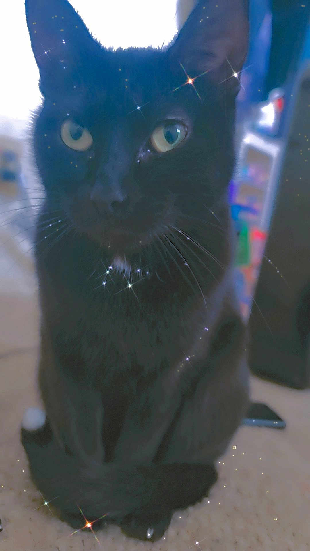 Izzy