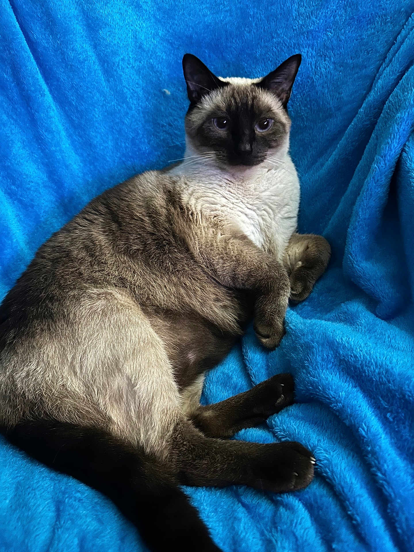 Odin