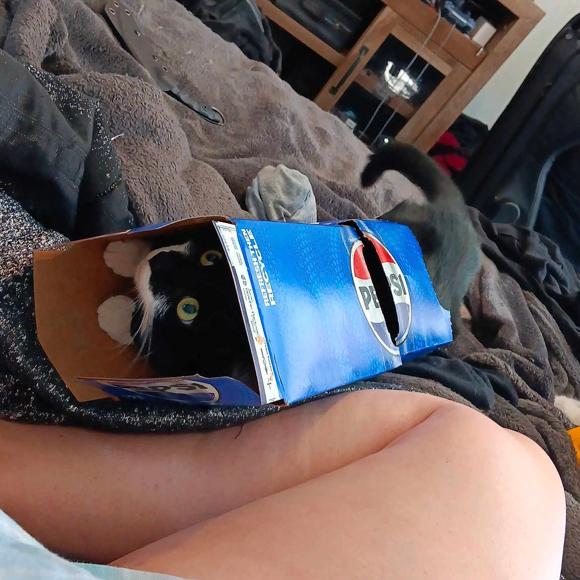 Moo