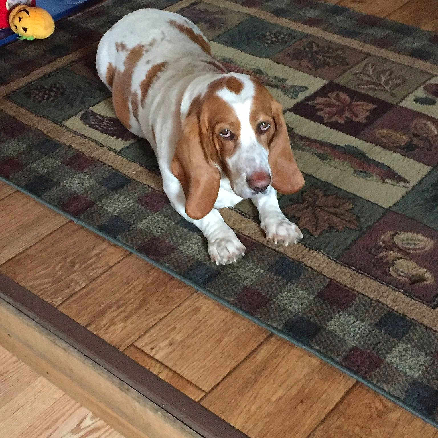 Penny Ann