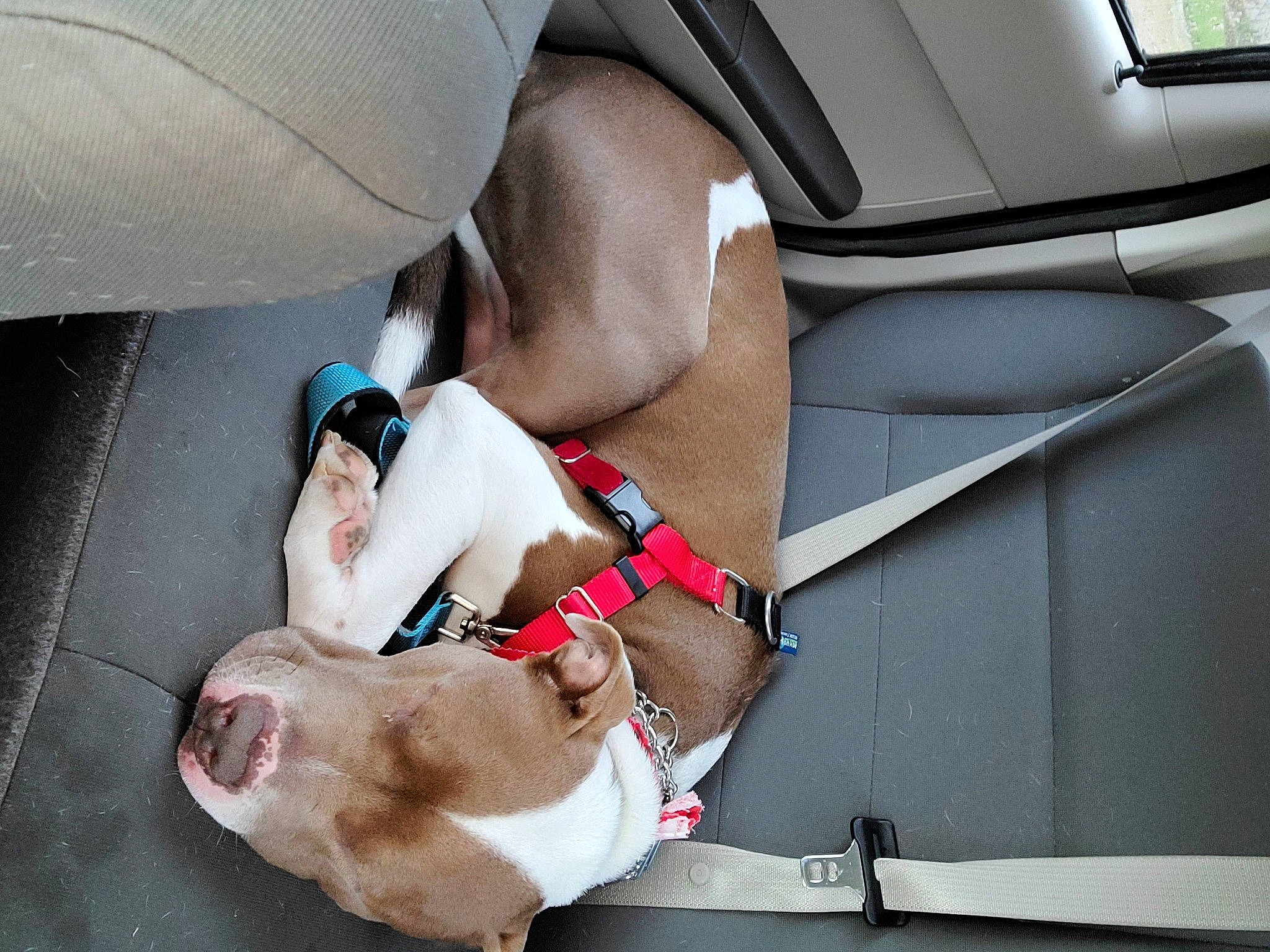 Benson joined the competition — help win amazing prizes! auto_part, automotive_design, automotive_exterior, car, car_seat, car_seat_cover, comfort, elbow, foot, head_restraint, human_body, human_leg, knee, motor_vehicle, sitting, street_fashion, thigh, trunk, vehicle_door, wrist