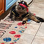 cat, pirate_costume, eye_patch, pirate_hat, toy_sword, fluffy_cat, kitchen, tile_floor, colorful_mat, floral_pattern, pet, costume, indoor, animal, funny, relaxed, feline, cute, playful, domestic