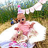 baby, birthday, party_hat, pink_clothing, sunglasses, teddy_bear, blanket, outdoor, grass, flowers, wildflowers, celebration, half_birthday, smiling, child, cute, nature, sunny, accessories, fun